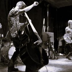 whatsapp image 2023 11 17 at 09 55 37