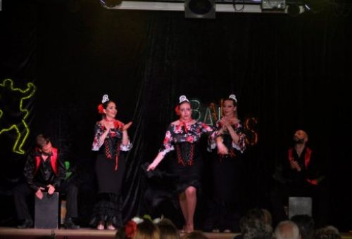 Xou concert tributs