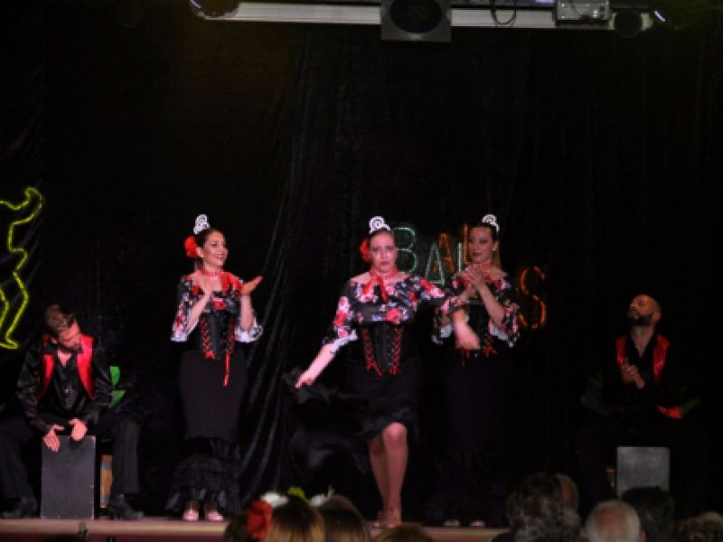 Show concierto tributos