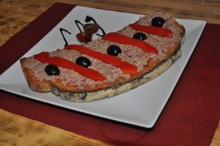 TORRADAATUN