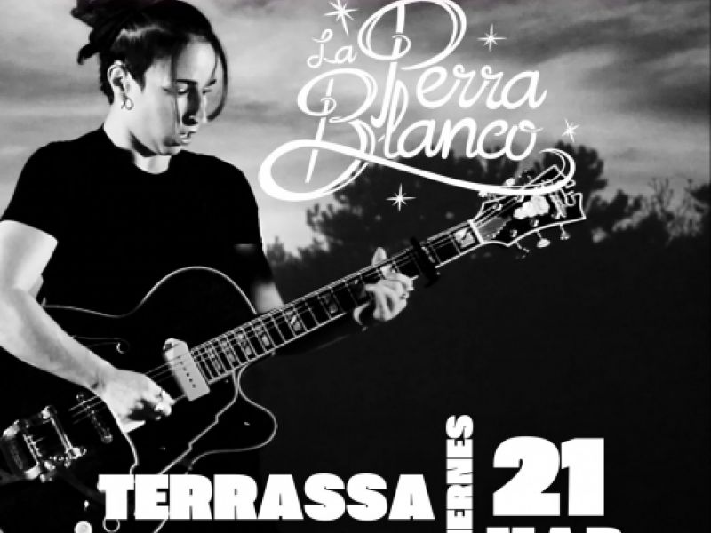 Concierto en directo con opción de Bocateria y servicio de Bar