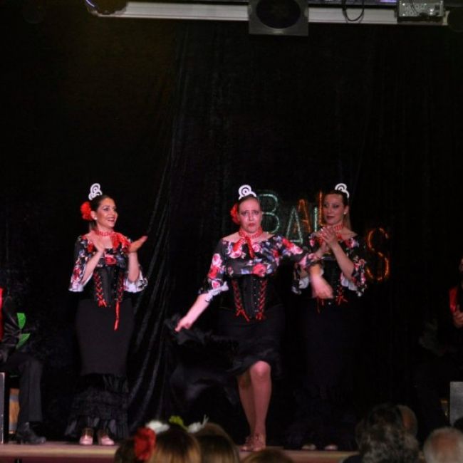 Xou concert tributs