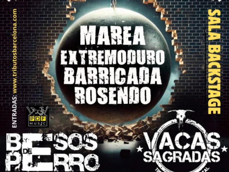 Concierto en directo con opción de Bocateria Tapas Ensaladas