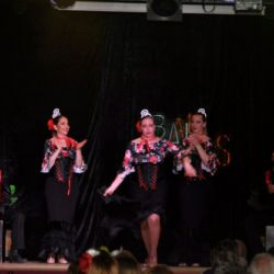 Show concierto tributos